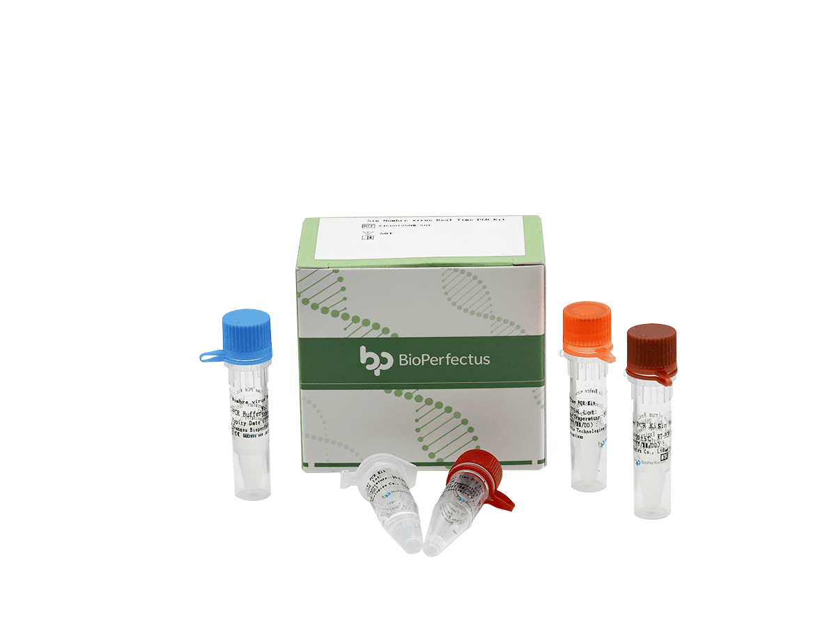 Sin Nombre Virus Real Time PCR Kit 1 Sin Nombre Virus Real Time PCR Kit