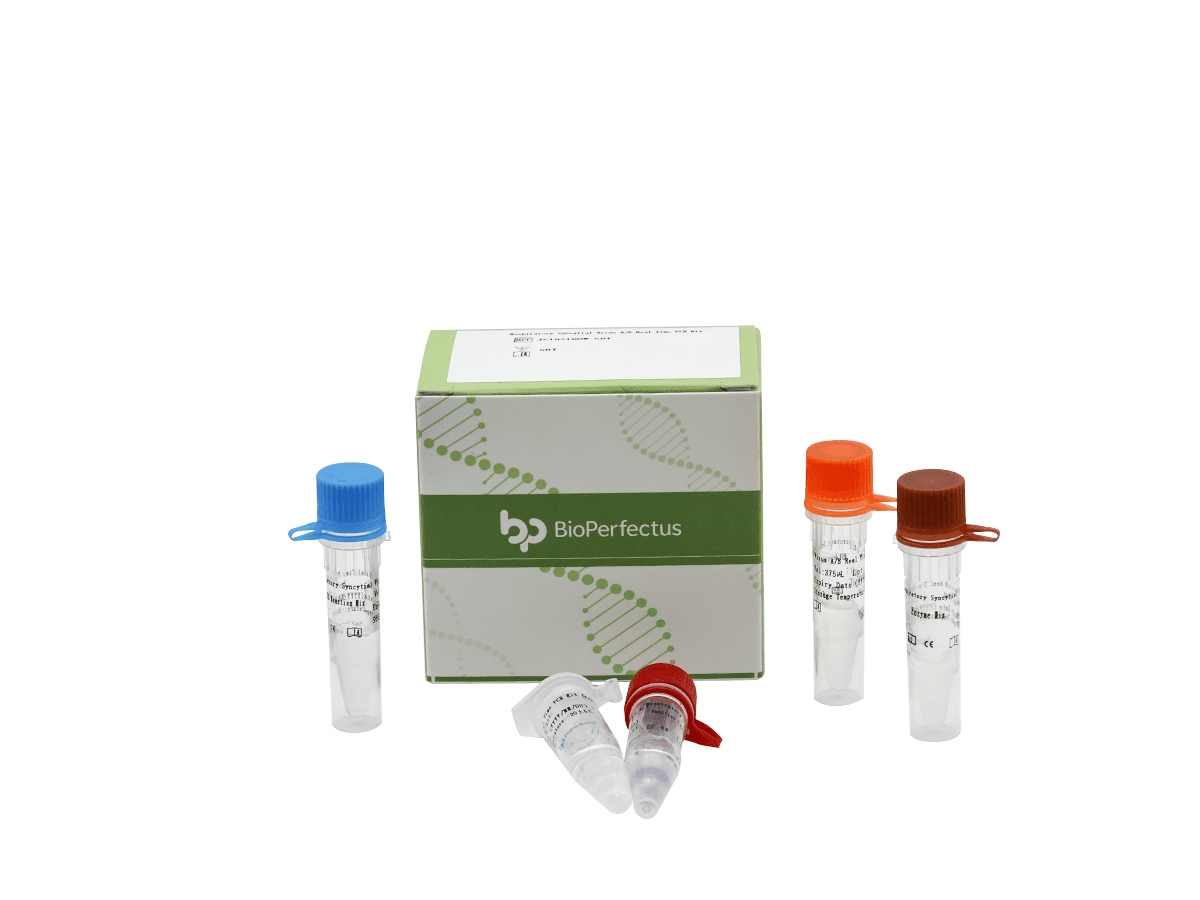 Respiratory Syncytial Virus A/B Real Time PCR Kit 1 Respiratory Syncytial Virus A/B Real Time PCR Kit