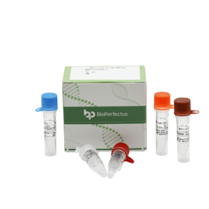 MERS-CoV Real Time PCR Kit