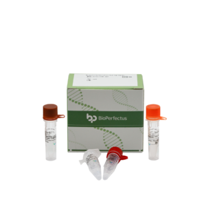 Mycobacterium Tuberculosis Real Time PCR Kit