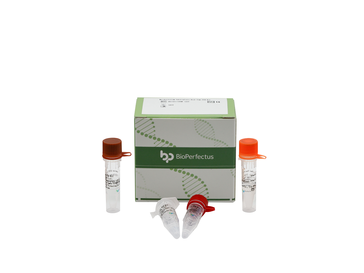 Mycobacterium Tuberculosis Real Time PCR Kit 1 Mycobacterium Tuberculosis Real Time PCR Kit