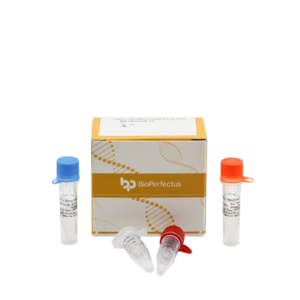 Salmonella Typhi/Salmonella Paratyphi Real Time PCR Kit