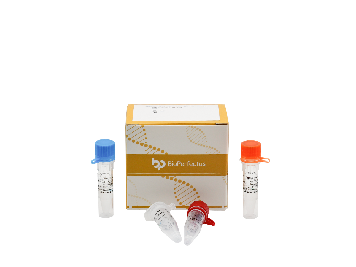 Salmonella Typhi/Salmonella Paratyphi Real Time PCR Kit 1 Salmonella Typhi/Salmonella Paratyphi Real Time PCR Kit