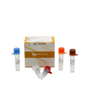 Sapovirus Real Time PCR Kit
