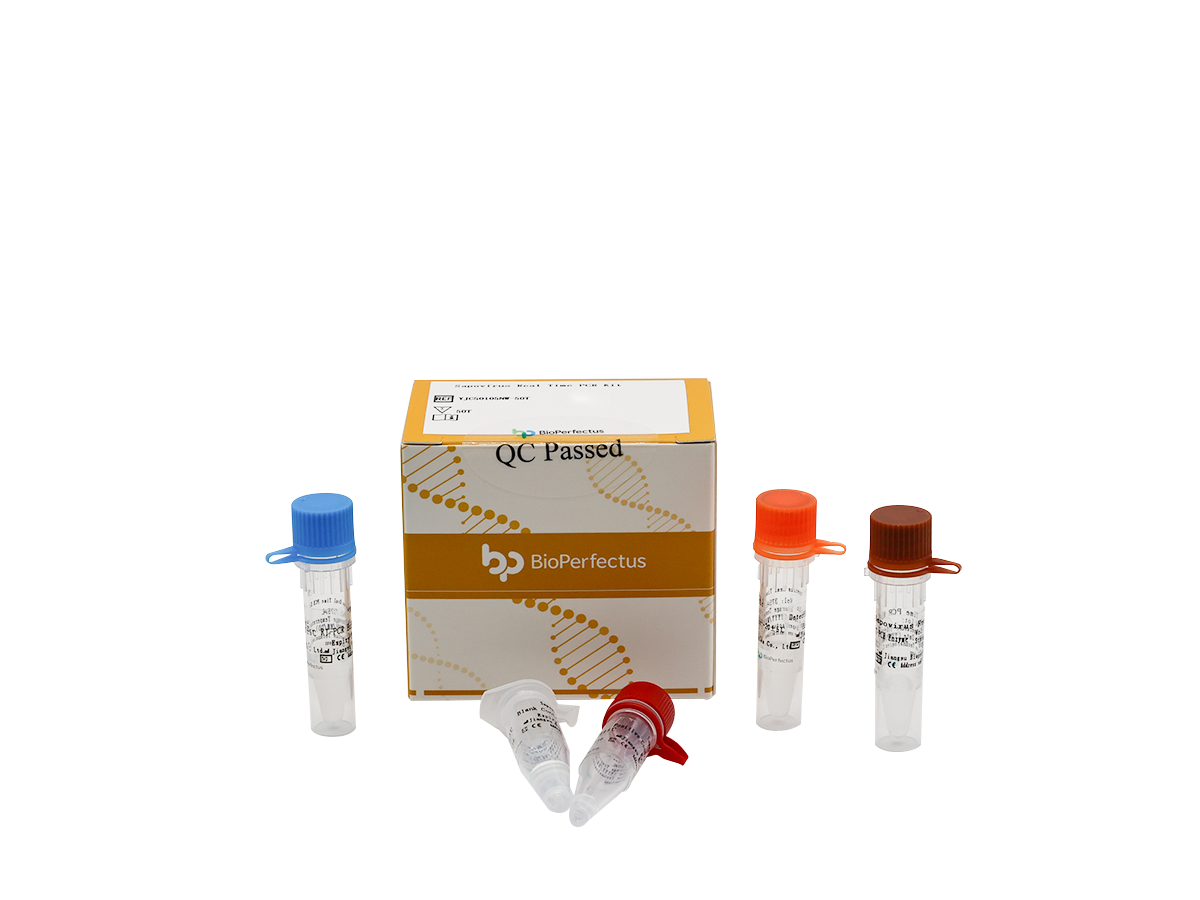 Sapovirus Real Time PCR Kit 1 Sapovirus Real Time PCR Kit