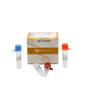 Clostridium botulinum Real Time PCR Kit