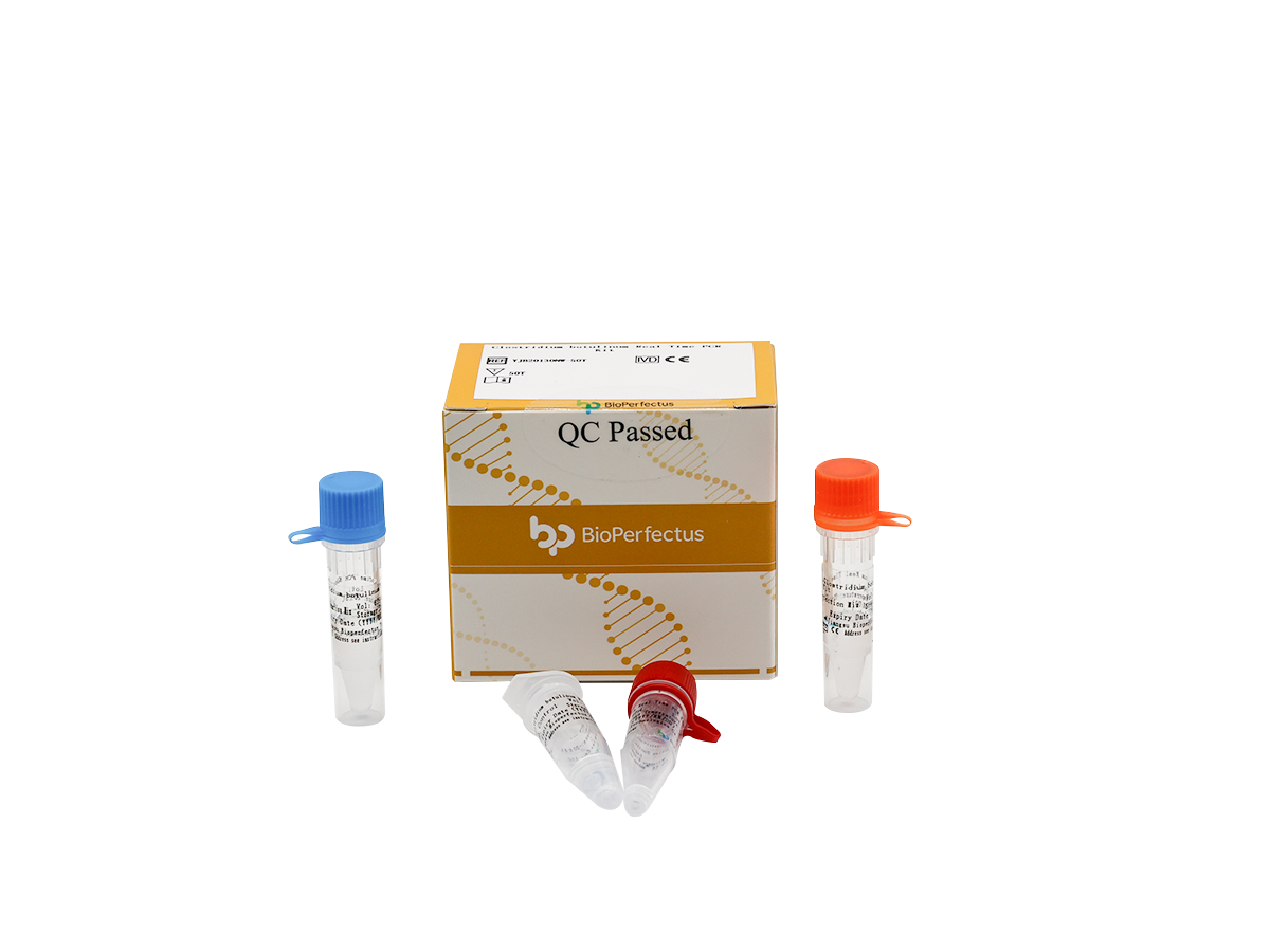 Clostridium botulinum Real Time PCR Kit 1 Clostridium botulinum Real Time PCR Kit