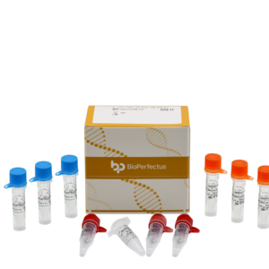 E. coli Pathotyping (5) Real Time PCR Kit