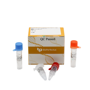 Clostridioides difficile Real Time PCR Kit
