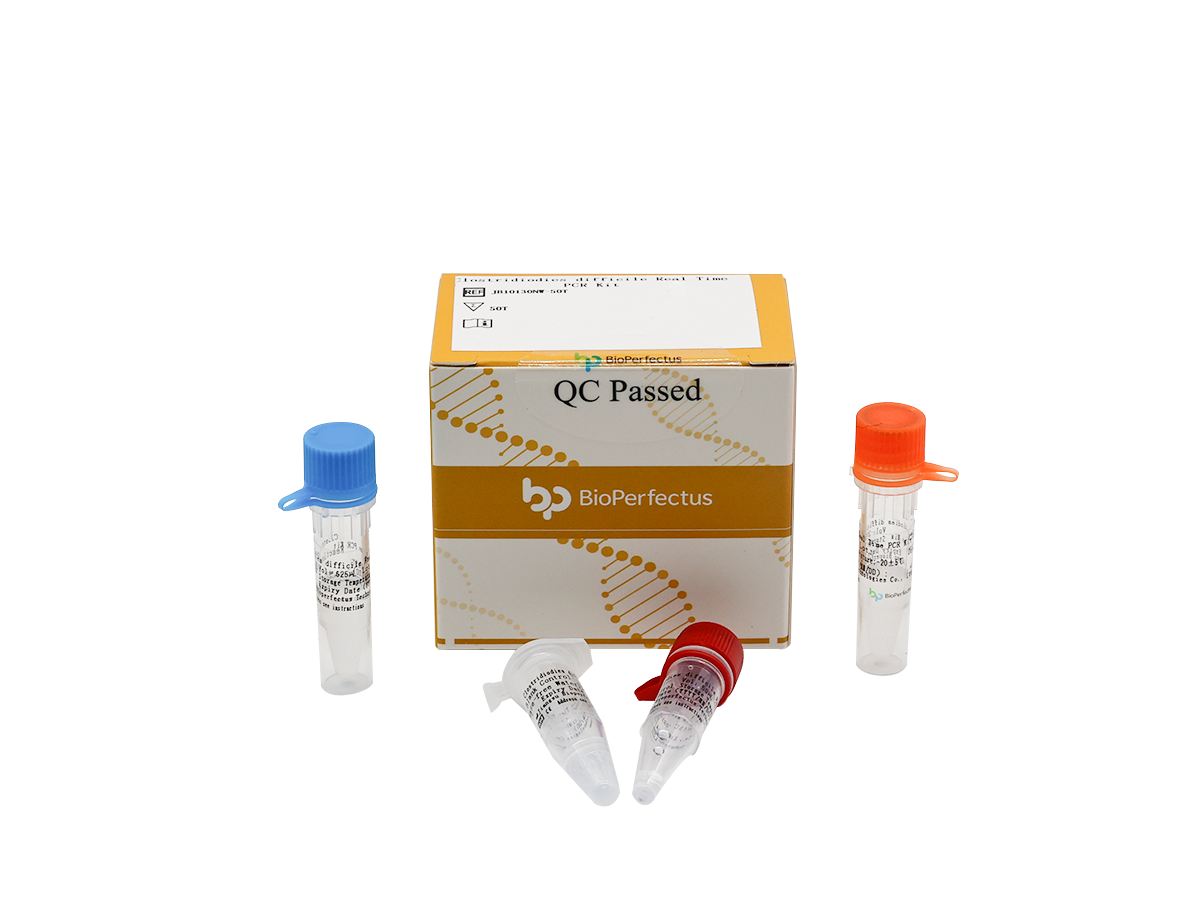 Clostridioides difficile Real Time PCR Kit 1 Clostridioides difficile Real Time PCR Kit