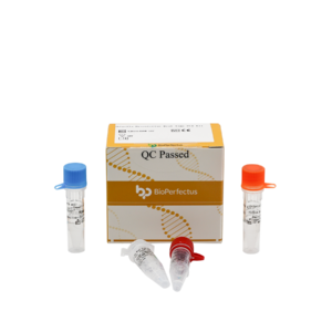 Salmonella & Shigella Real Time PCR Kit