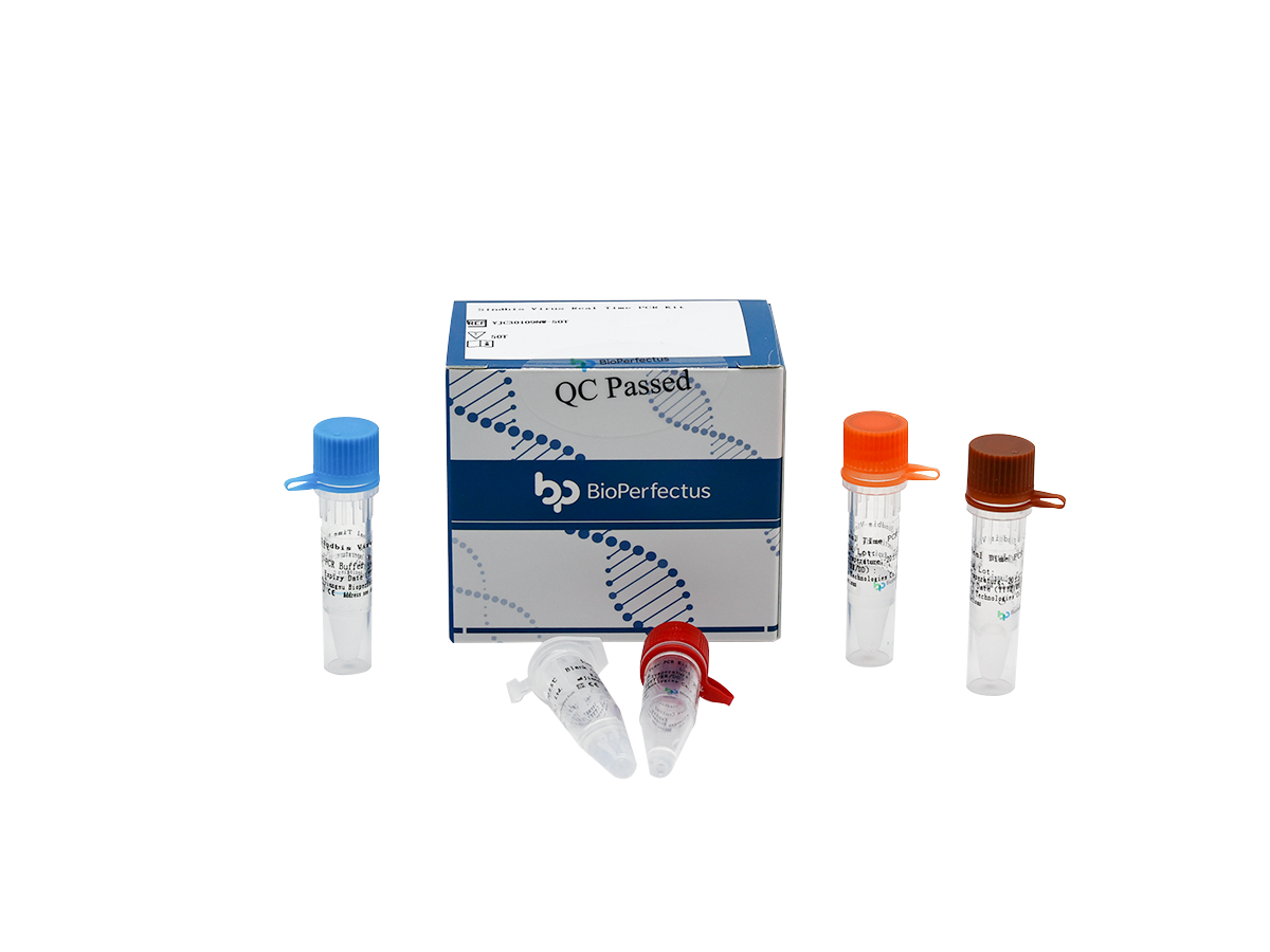 Sindbis Virus Real Time PCR Kit 1 Sindbis Virus Real Time PCR Kit
