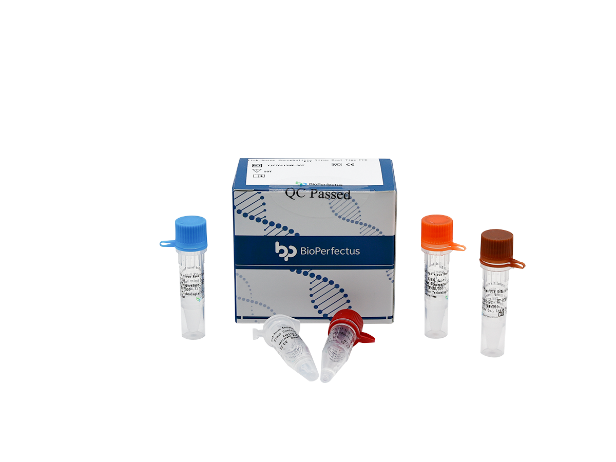 Tick-borne Encephalitis Virus Real Time PCR Kit 1 Tick-borne Encephalitis Virus Real Time PCR Kit