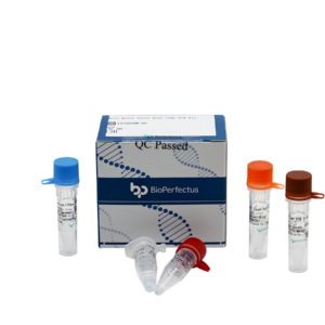 Ross River Virus Real Time PCR Kit
