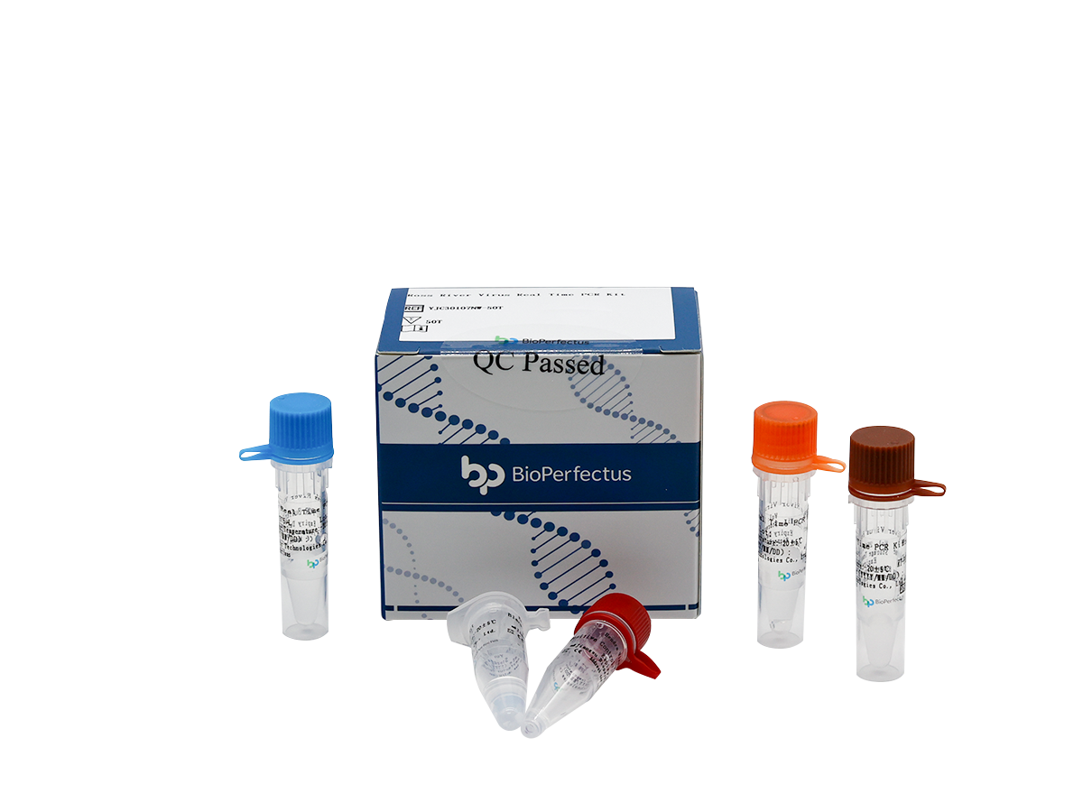 Ross River Virus Real Time PCR Kit 1 Ross River Virus Real Time PCR Kit