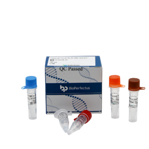 Severe Fever with Thrombocytopenia Syndrome Virus Real Time PCR Kit