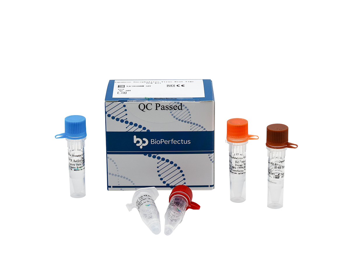 Japanese Encephalitis Virus Real Time PCR Kit 1 Japanese Encephalitis Virus Real Time PCR Kit