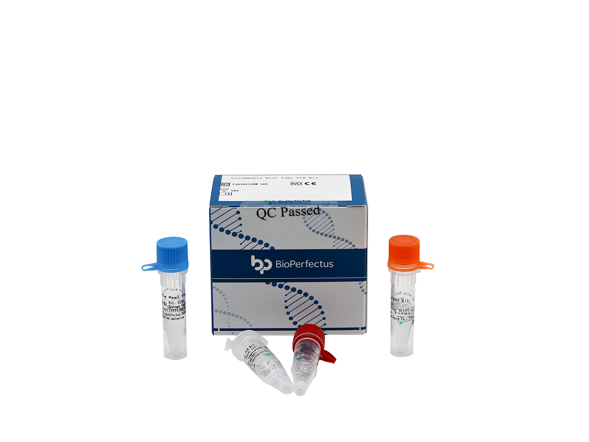 Leishmania Real Time PCR Kit 1 Leishmania Real Time PCR Kit