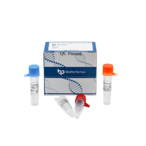 Anaplasma Phagocytophilum Real Time PCR Kit