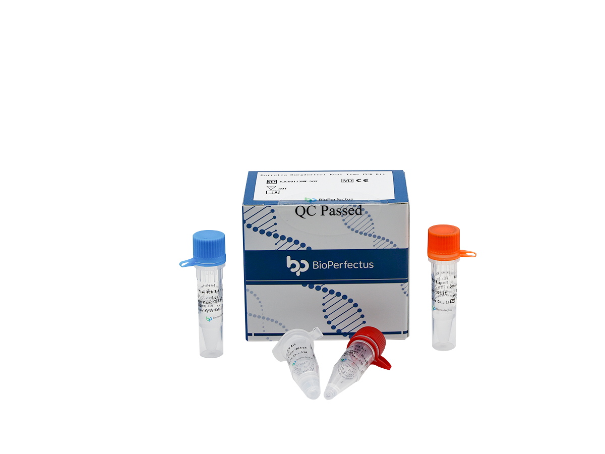 Borrelia Burgdorferi Real Time PCR Kit 1 Borrelia Burgdorferi Real Time PCR Kit