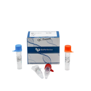 Francisella tularensis Real Time PCR Kit