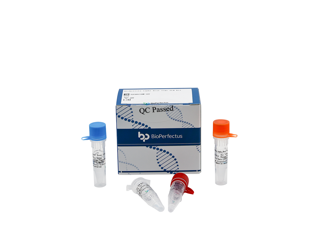 Rickettsia Typhi Real Time PCR Kit 1 Rickettsia Typhi Real Time PCR Kit