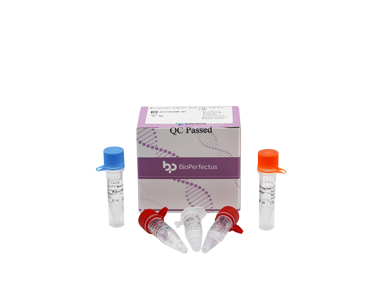 Mycoplasma Hominis Real Time PCR Kit 1 Mycoplasma Hominis Real Time PCR Kit