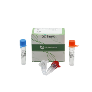 Allfastra Respiratory Bacteria Panel (3) Real Time PCR Kit