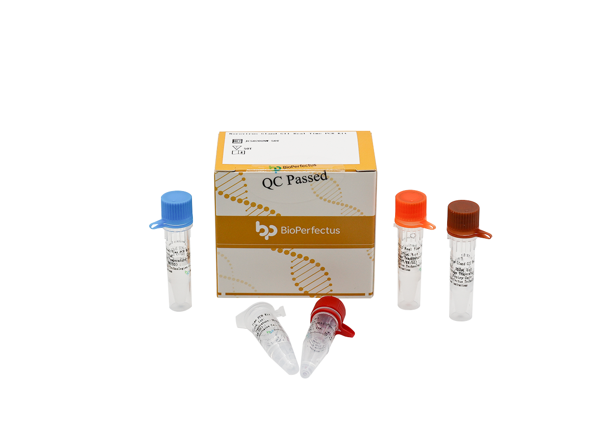 Norovirus GI and GII Real Time PCR Kit 1 Norovirus GI and GII Real Time PCR Kit