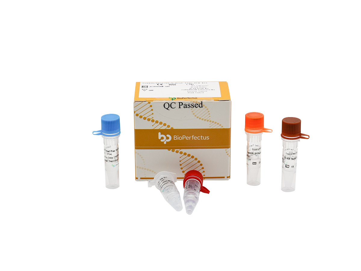 CoxA16/EV71/EV-U Real Time PCR Kit 1 CoxA16/EV71/EV-U Real Time PCR Kit