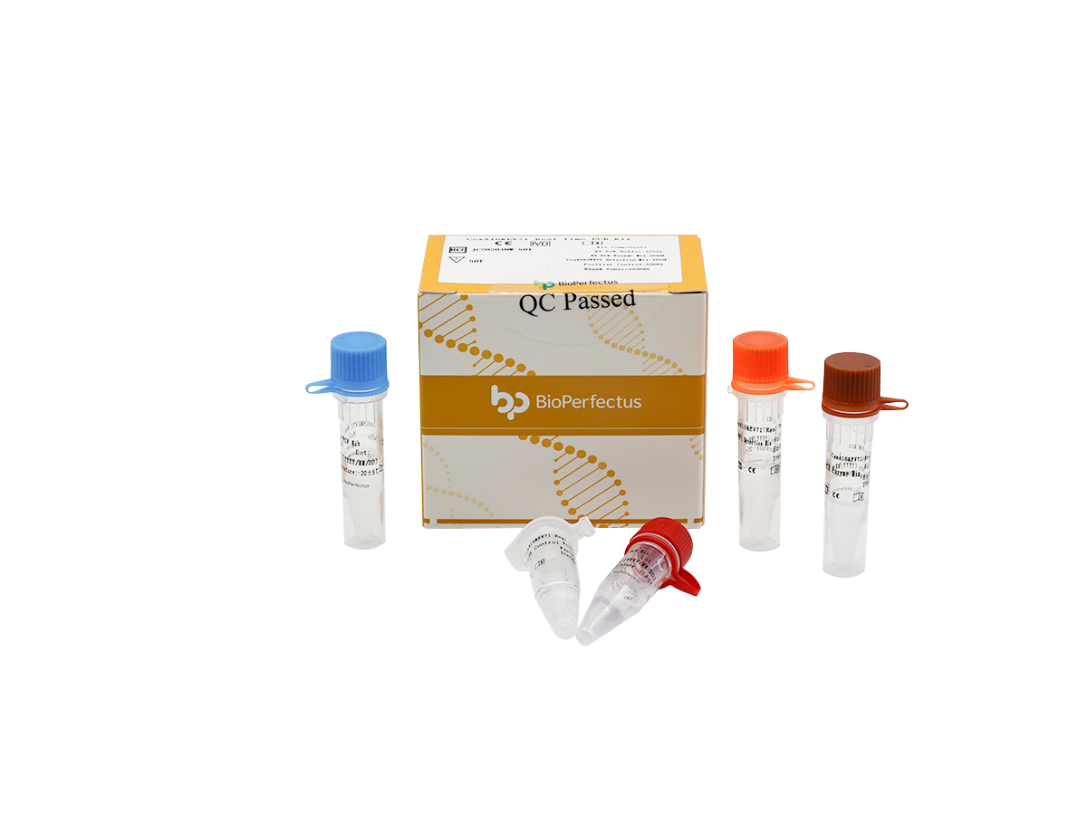 CoxA16 & EV71 Real Time PCR Kit 1 CoxA16 & EV71 Real Time PCR Kit
