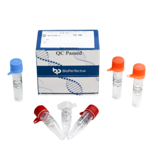 Plasmodium Genotyping Real Time PCR Kit