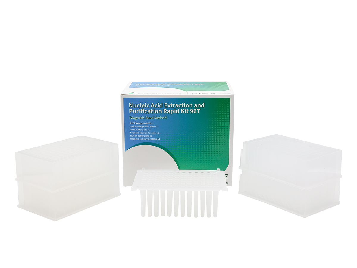 Nucleic Acid Extraction and Purification Rapid Kit 96T (Magnetic Bead Method) 1 Nucleic Acid Extraction and Purification Rapid Kit 96T (Magnetic Bead Method)