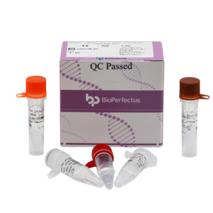 Herpes Simplex Virus Type I/II Real Time PCR Kit
