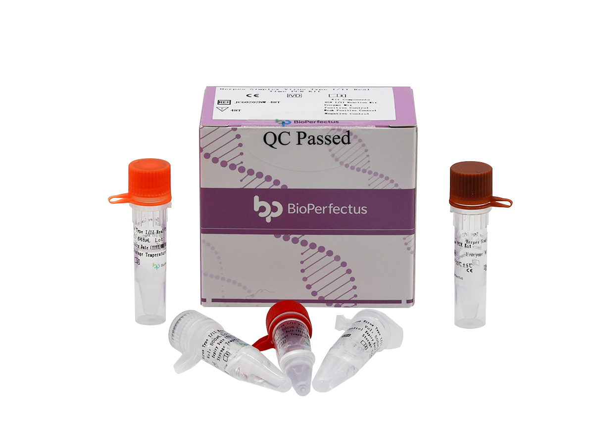 Herpes Simplex Virus Type I/II Real Time PCR Kit 1 Herpes Simplex Virus Type I/II Real Time PCR Kit