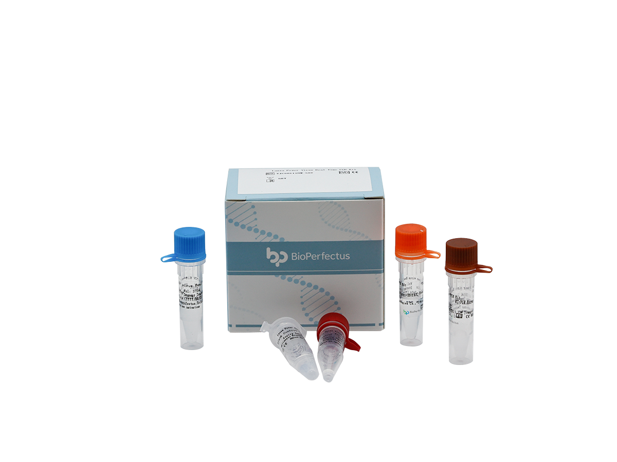 Hantavirus Real Time PCR Kit 1 Hantavirus Real Time PCR Kit
