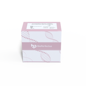 Survival Motor Neuron 1 (SMN1) Gene Detection Real Time PCR Kit