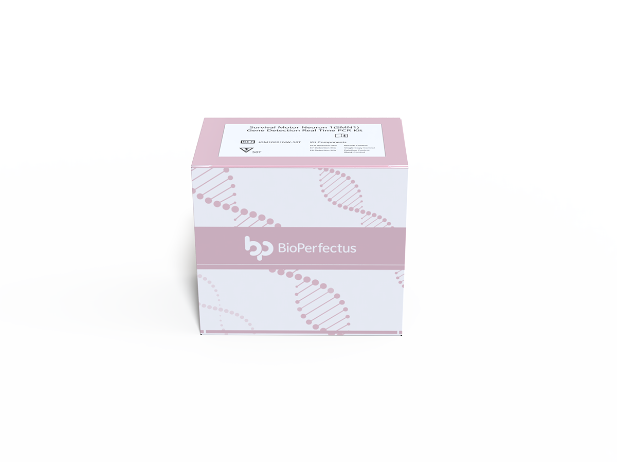 Survival Motor Neuron 1 (SMN1) Gene Detection Real Time PCR Kit 1 Survival Motor Neuron 1 (SMN1) Gene Detection Real Time PCR Kit