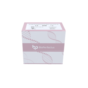 Group B Streptococcus Real Time PCR Kit