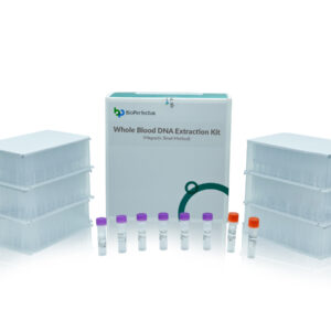 Whole Blood DNA Extraction Kit (Magnetic Bead Method)