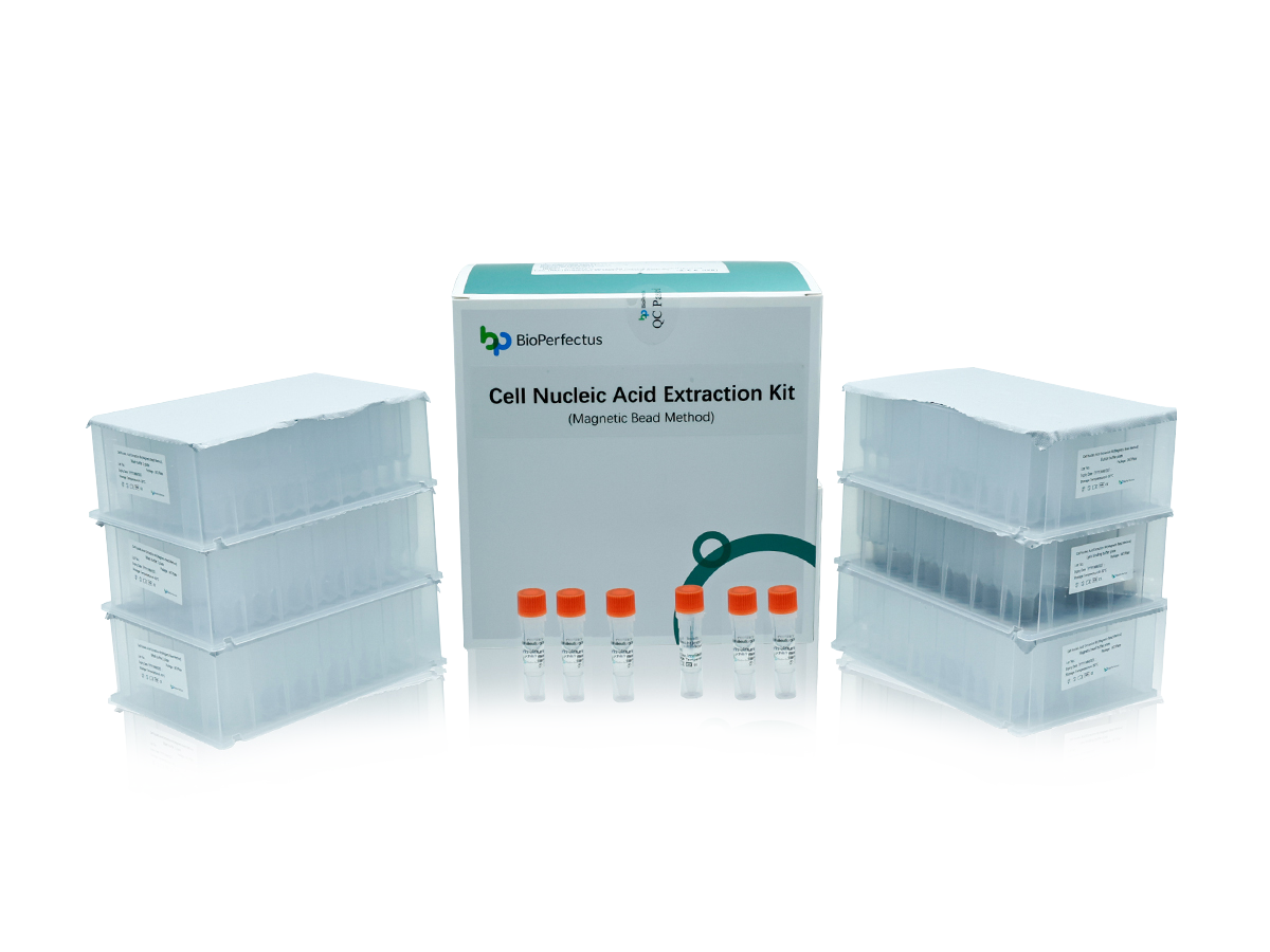 Cell Nucleic Acid Extraction Kit (Magnetic Bead Method) 1 Cell Nucleic Acid Extraction Kit (Magnetic Bead Method)