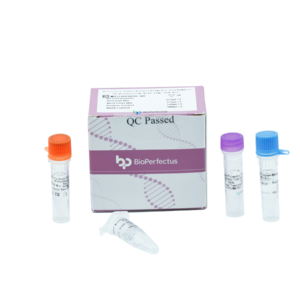 Neisseria Gonorrhoeae/Chlamydia Trachomatis/U. Urealyticum Real Time PCR Kit