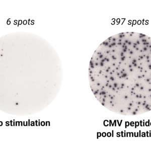 ELISpot Human IFN-γ, pre-coated