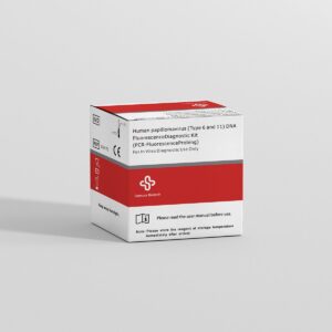 S3017E HPV 6,11 – Human papillomavirus (Type 6 and 11) DNA Fluorescence Diagnostic Kit