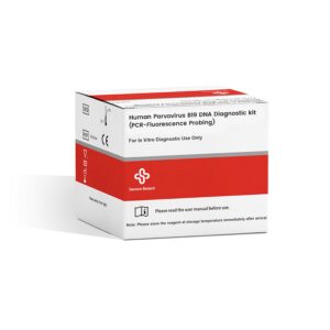 S3214E B19 – Human Parvovirus B19 DNA Nucleic Acid Diagnostic Kit